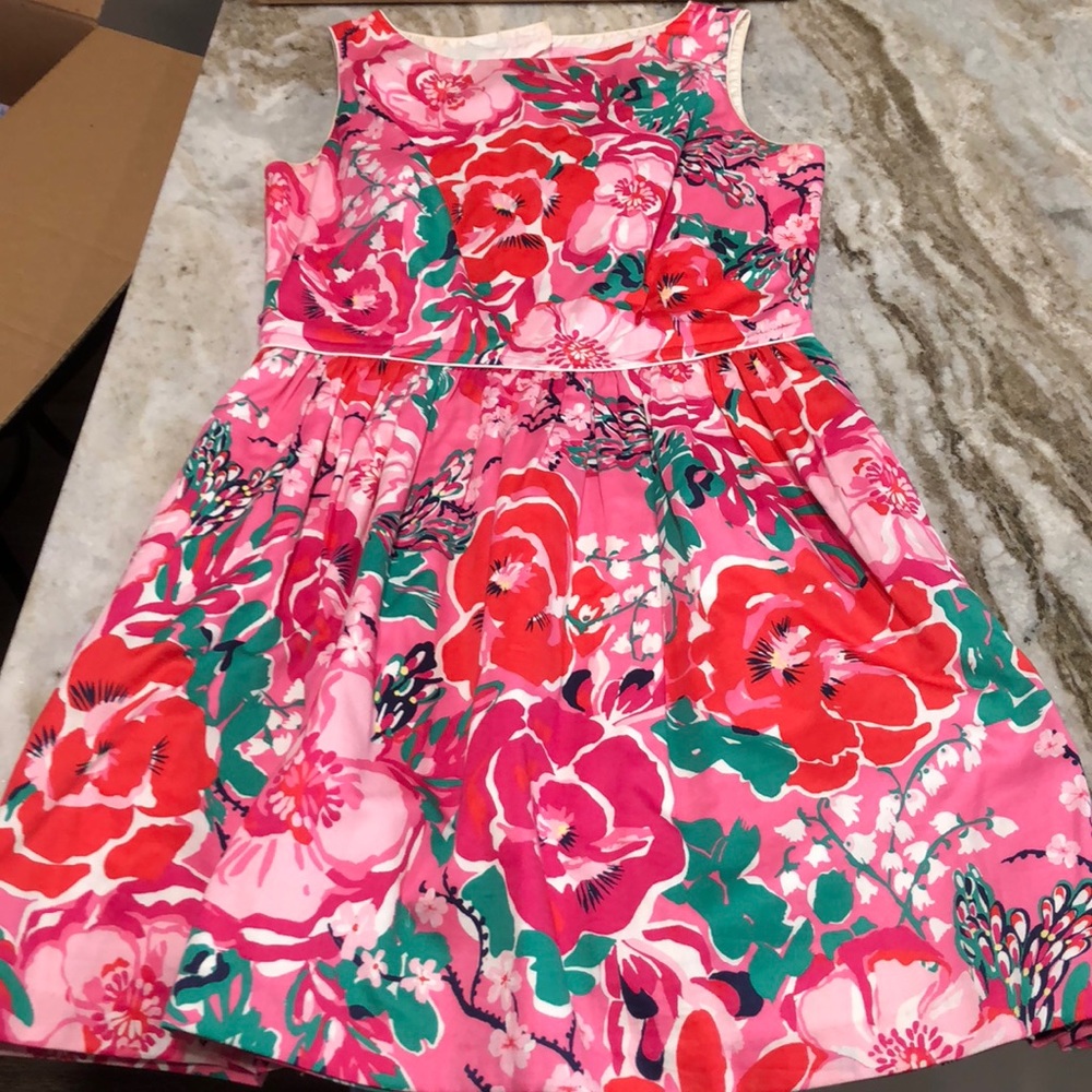 Lilly Pulitzer dress - 10